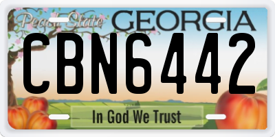 GA license plate CBN6442