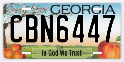 GA license plate CBN6447