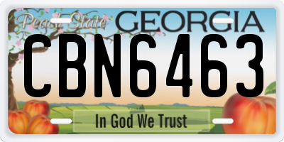 GA license plate CBN6463