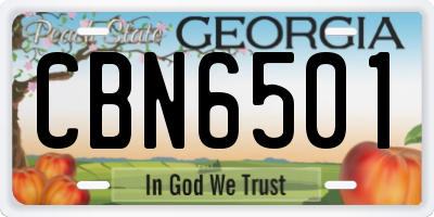 GA license plate CBN6501