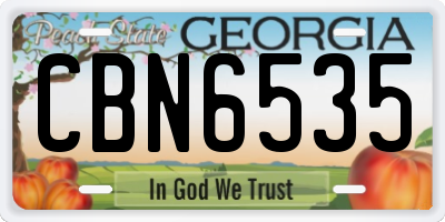 GA license plate CBN6535