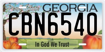 GA license plate CBN6540