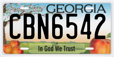 GA license plate CBN6542