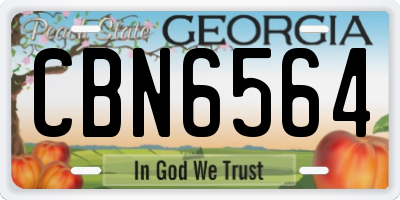 GA license plate CBN6564
