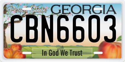 GA license plate CBN6603