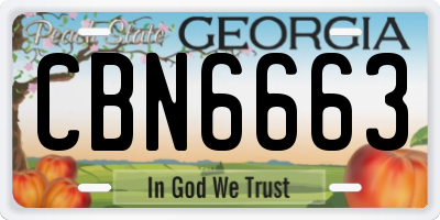 GA license plate CBN6663