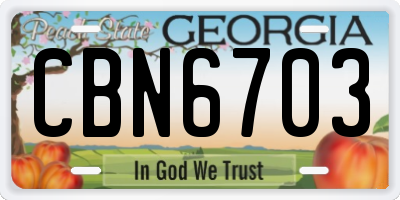 GA license plate CBN6703