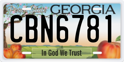 GA license plate CBN6781