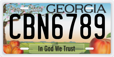 GA license plate CBN6789