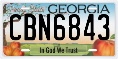 GA license plate CBN6843