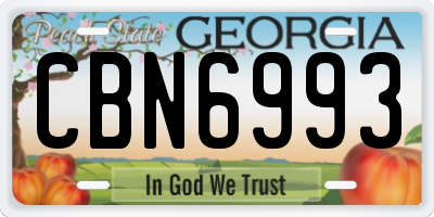 GA license plate CBN6993