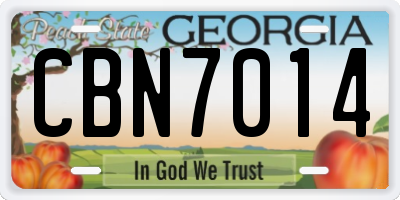 GA license plate CBN7014