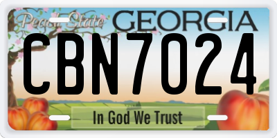 GA license plate CBN7024