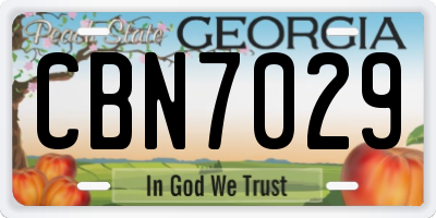 GA license plate CBN7029