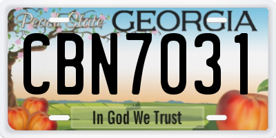 GA license plate CBN7031