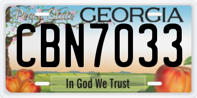 GA license plate CBN7033