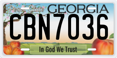 GA license plate CBN7036