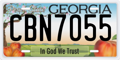 GA license plate CBN7055
