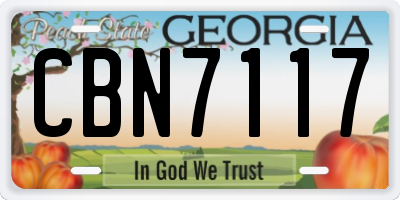GA license plate CBN7117