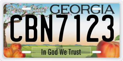 GA license plate CBN7123