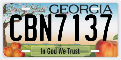 GA license plate CBN7137