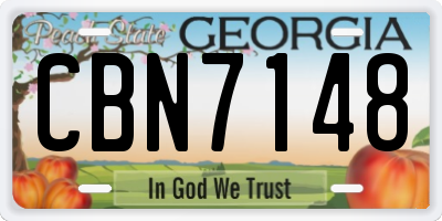GA license plate CBN7148