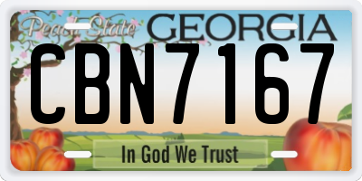 GA license plate CBN7167