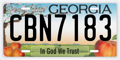 GA license plate CBN7183