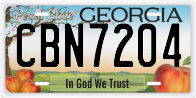GA license plate CBN7204