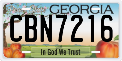GA license plate CBN7216