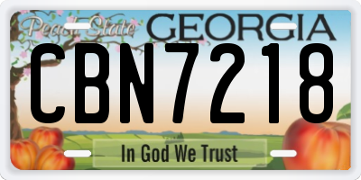 GA license plate CBN7218