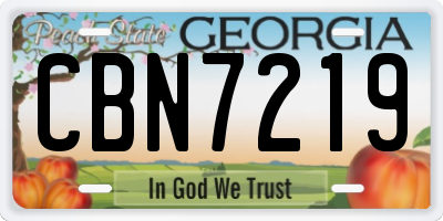 GA license plate CBN7219