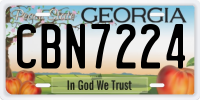 GA license plate CBN7224