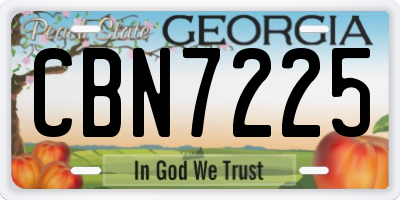 GA license plate CBN7225
