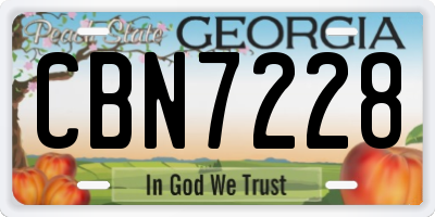 GA license plate CBN7228