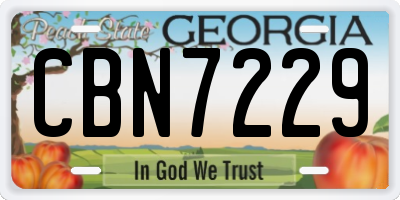 GA license plate CBN7229
