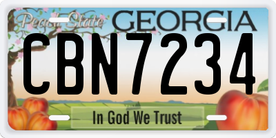 GA license plate CBN7234