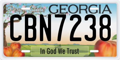 GA license plate CBN7238