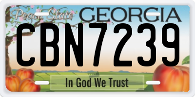 GA license plate CBN7239