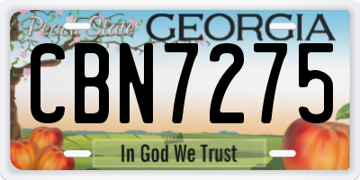 GA license plate CBN7275