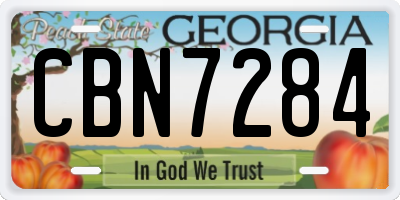 GA license plate CBN7284