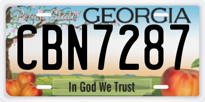 GA license plate CBN7287