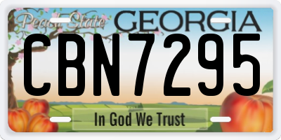 GA license plate CBN7295