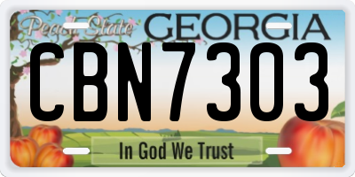 GA license plate CBN7303