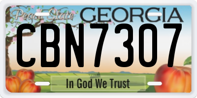 GA license plate CBN7307