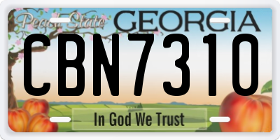 GA license plate CBN7310