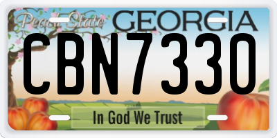 GA license plate CBN7330