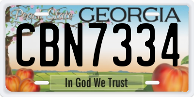 GA license plate CBN7334