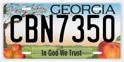 GA license plate CBN7350