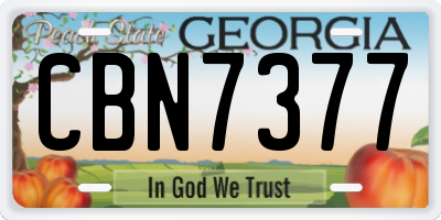 GA license plate CBN7377